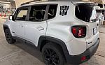 2017 Renegade Thumbnail 1