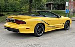 2002 Trans Am Convertible Collector Thumbnail 5