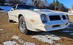1976 Firebird Trans Am Thumbnail 1