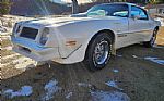 1976 Firebird Trans Am Thumbnail 3