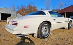 1976 Firebird Trans Am Thumbnail 5