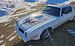 1976 Firebird Trans Am Thumbnail 9