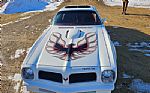 1976 Firebird Trans Am Thumbnail 10