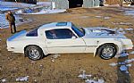 1976 Firebird Trans Am Thumbnail 12