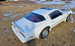 1976 Firebird Trans Am Thumbnail 13