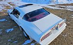 1976 Firebird Trans Am Thumbnail 15