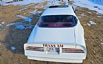 1976 Firebird Trans Am Thumbnail 14