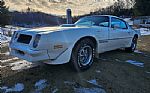 1976 Firebird Trans Am Thumbnail 17