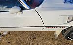 1976 Firebird Trans Am Thumbnail 35