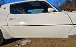 1976 Firebird Trans Am Thumbnail 34