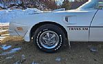 1976 Firebird Trans Am Thumbnail 65