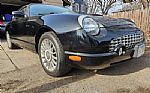 2005 Thunderbird Thumbnail 44