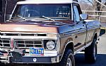 1976 F-250 Thumbnail 21