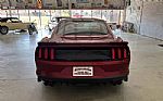 2015 Mustang Thumbnail 11