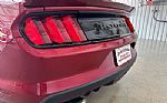 2015 Mustang Thumbnail 13