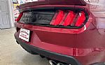 2015 Mustang Thumbnail 15