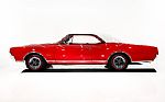 1967 442 Thumbnail 41