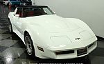 1981 Corvette Thumbnail 15
