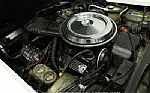 1981 Corvette Thumbnail 31