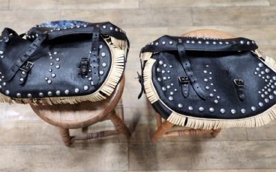 Photo of a Motorcycle Saddle Bags for sale