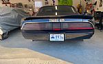 1979 Trans Am Thumbnail 4