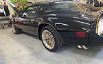 1979 Trans Am Thumbnail 5