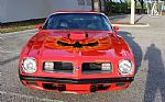 1975 Firebird Trans-Am Thumbnail 3
