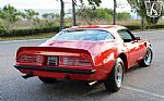 1975 Firebird Trans-Am Thumbnail 20