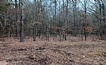  Acres In Red River County Thumbnail 3