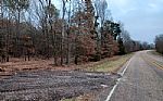  Acres In Red River County Thumbnail 14