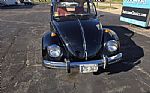 1968 Beetle Thumbnail 4