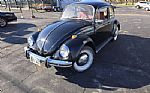 1968 Beetle Thumbnail 5