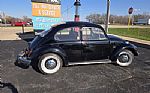 1968 Beetle Thumbnail 2