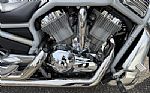 2002 V-ROD Vrscb Thumbnail 8