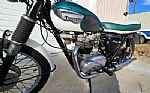 1966 T100SR Thumbnail 4