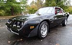1981 Firebird Thumbnail 4
