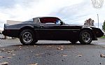 1981 Firebird Thumbnail 20