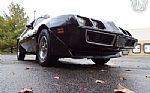 1981 Firebird Thumbnail 23