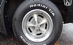 1981 Firebird Thumbnail 49