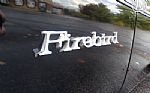 1981 Firebird Thumbnail 67