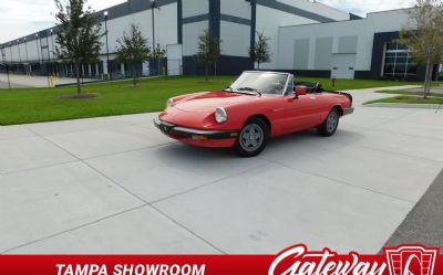 Photo of a 1984 Alfa Romeo Spider Veloce for sale