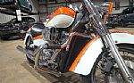 2009 VT750 Thumbnail 37