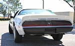 1981 Trans Am Daytona Pace Car Thumbnail 15