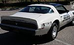 1981 Trans Am Daytona Pace Car Thumbnail 18
