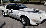 1981 Trans Am Daytona Pace Car Thumbnail 23