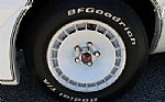 1981 Trans Am Daytona Pace Car Thumbnail 38