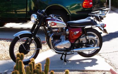 Photo of a 1967 BSA Lightning for sale