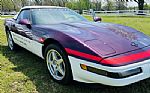 1995 Corvette Pace Car Thumbnail 2