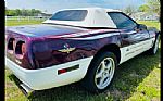 1995 Corvette Pace Car Thumbnail 4