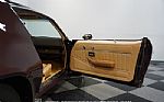 1981 Camaro Z28 Thumbnail 62